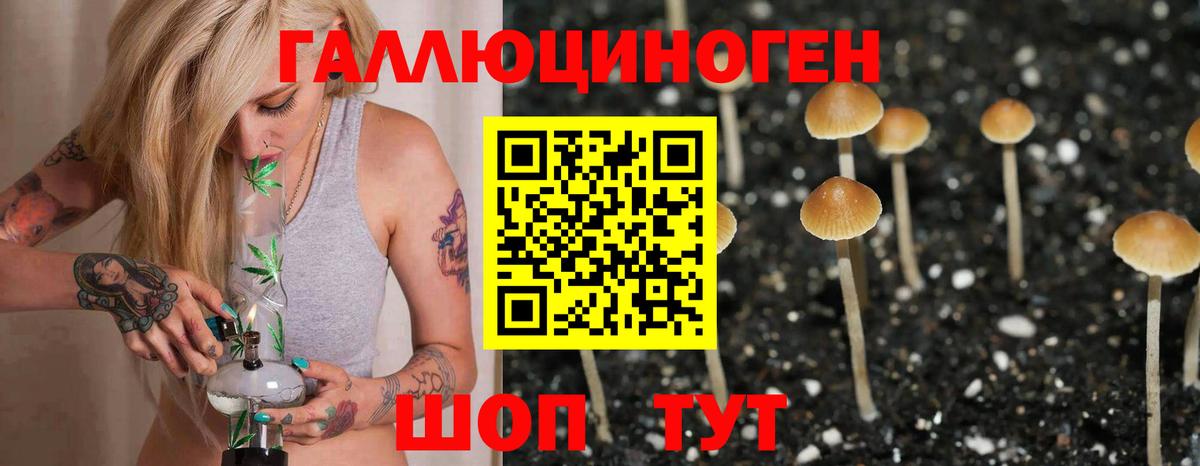 Саратов  сколько стоит  Вход с VPN  Галлюциногенные грибы GOLDEN TEACHER  Псилоцибиновые грибы Cubensis 